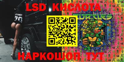 крисы Камышлов