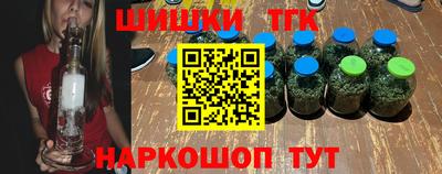 крисы Камышлов