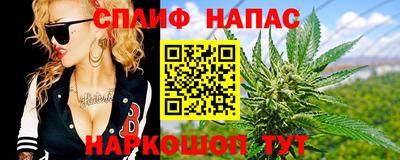 крисы Камышлов