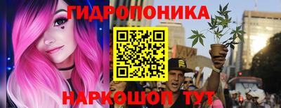 гашик Канаш