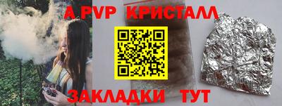 крисы Камышлов