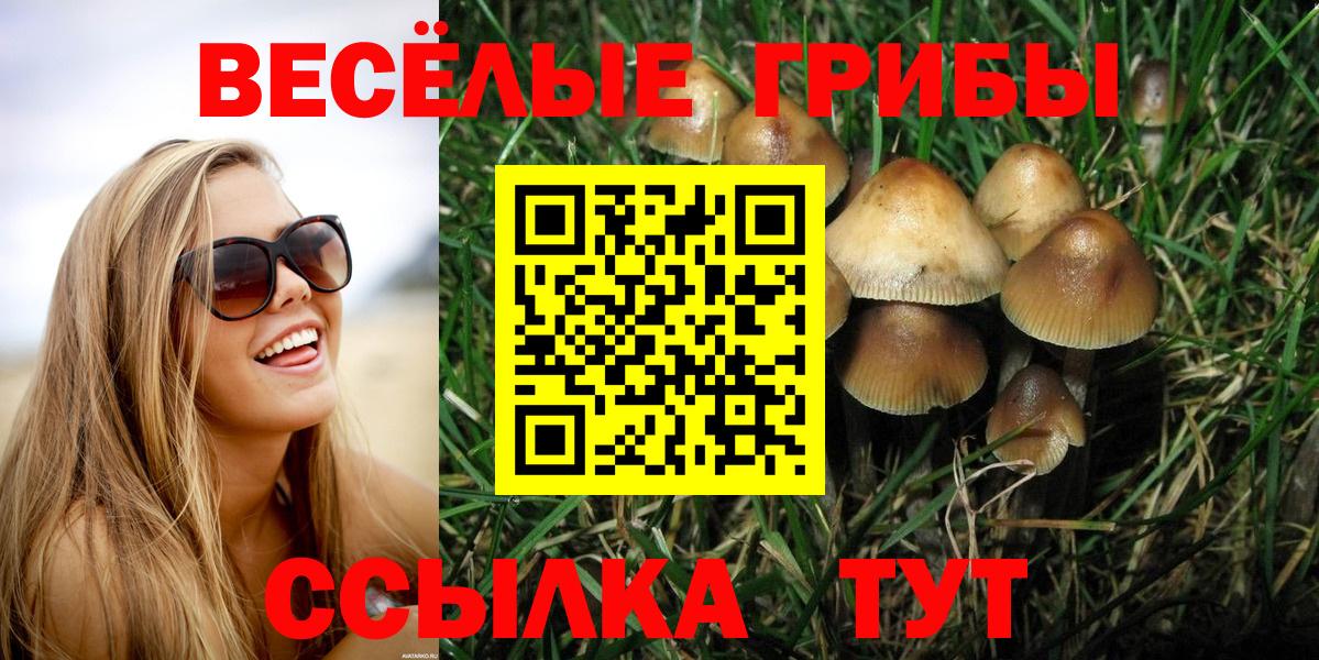 Галлюциногенные грибы мухоморы Крымск