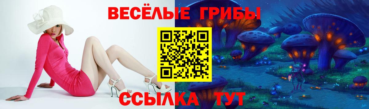 Псилоцибиновые грибы Psilocybine cubensis  Вход с VPN  Крымск  Псилоцибиновые грибы прущие грибы 